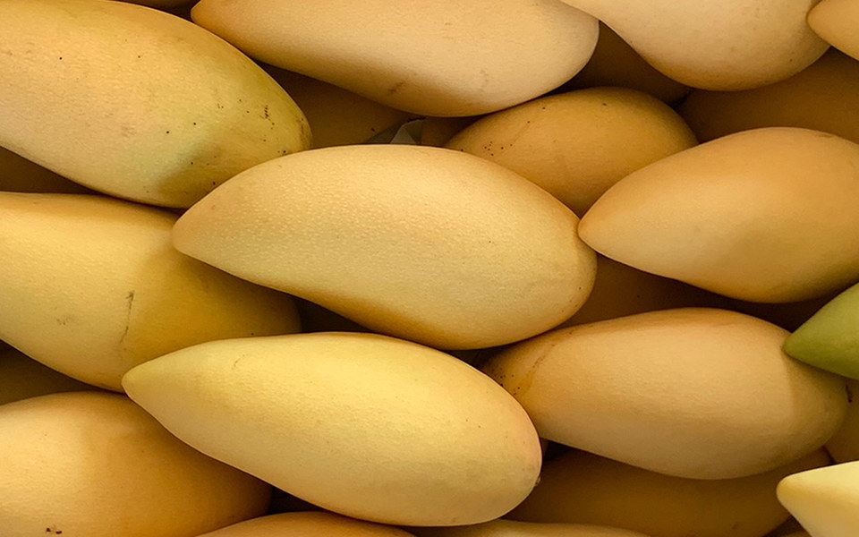 Ripe Thai mangoes packed side by side